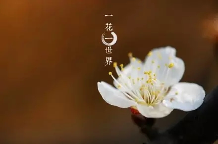 C:\Documents and Settings\Administrator\妗岄潰\14.webp.jpg