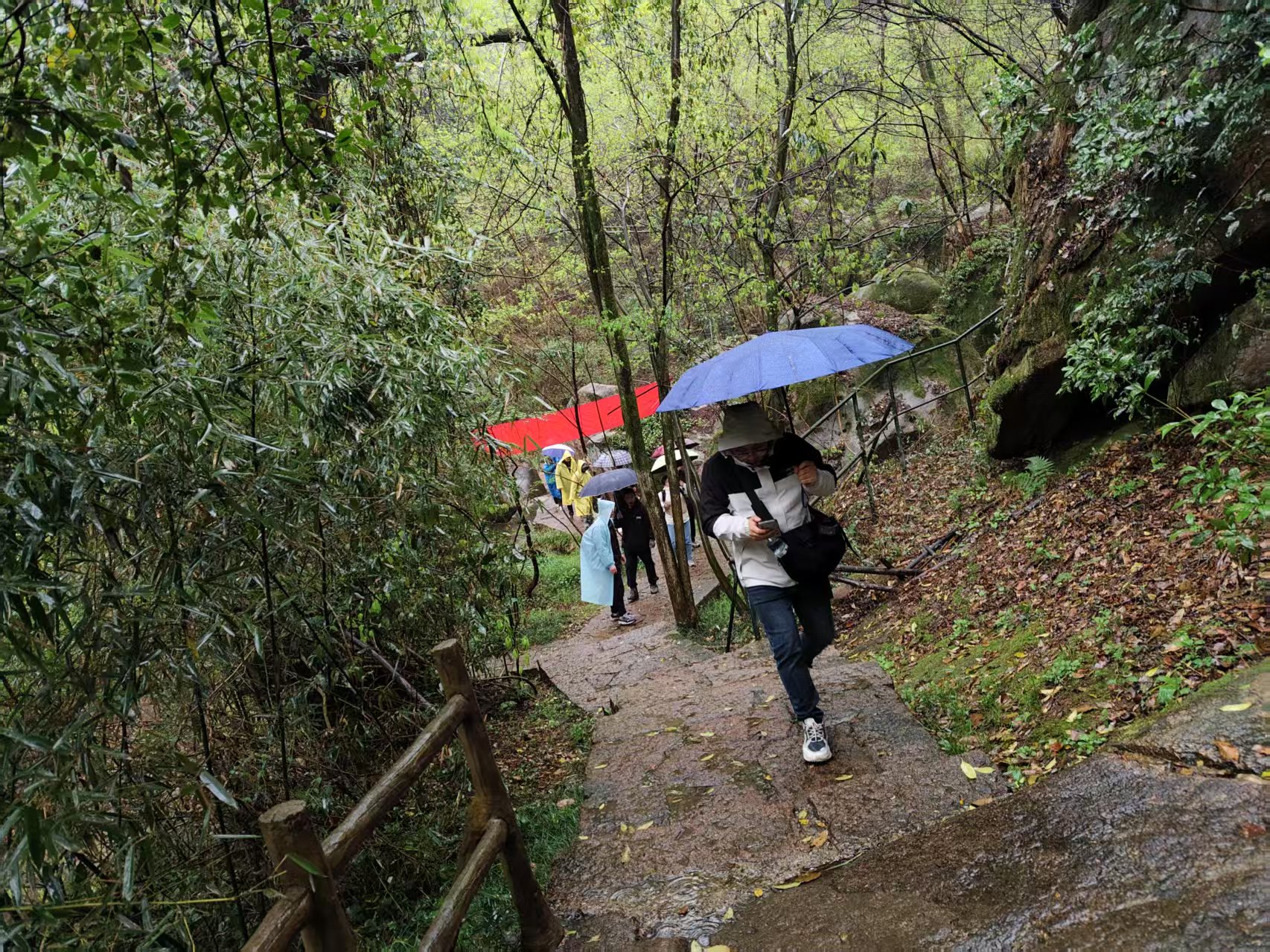 1-8，九华天池雨中.jpg